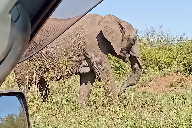 Vegans Special Safari - Frequently Asked Questions