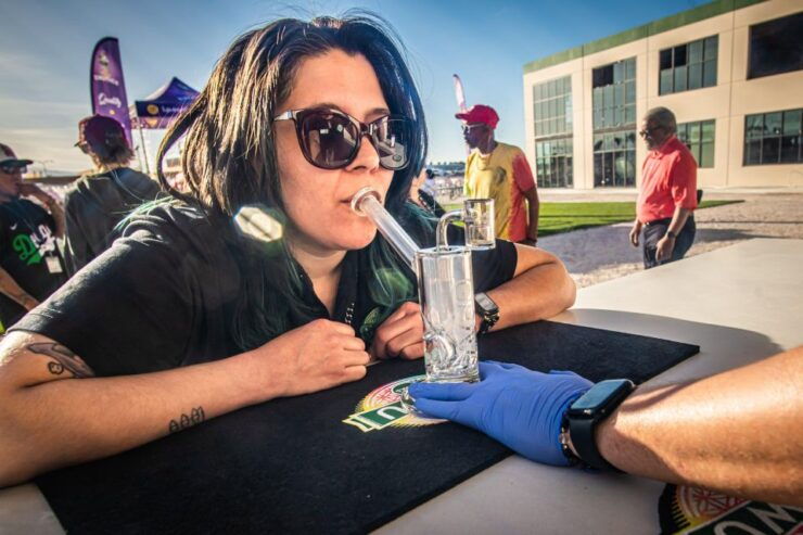 Vegas Cannabis Tour With Weed Lounge & Party Bus Experience - Activity Details