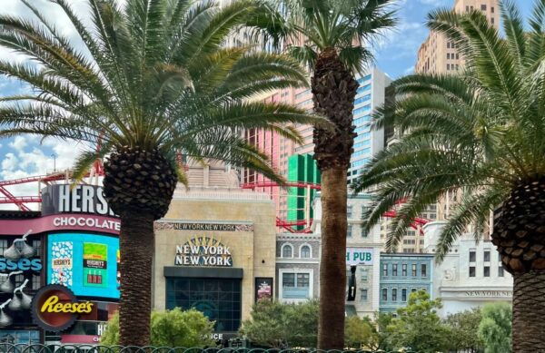 Vegas Highlights: Neon Lights & Desert - Audio Driving Tour - Contact Details