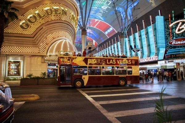 Vegas: Neon Museum Night Tour With Open-Top Bus - Accessibility and Language