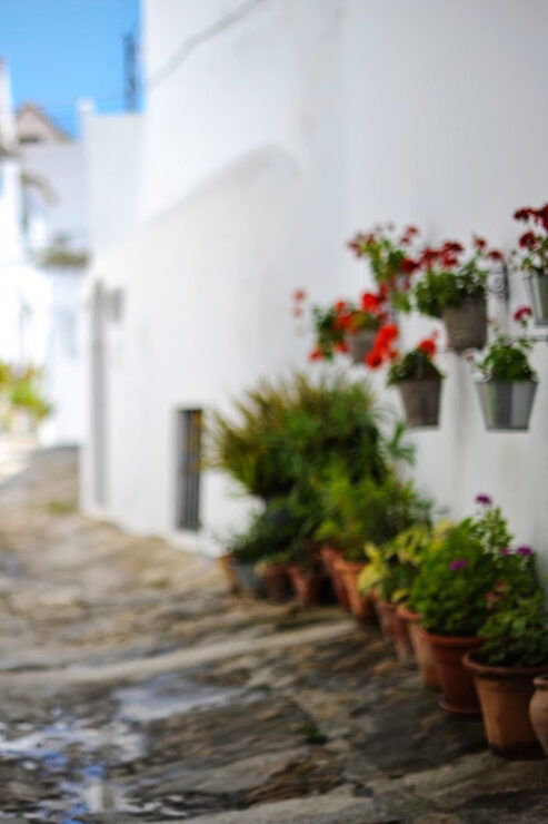 Vejer De La Frontera & Bolonia Private Day Trip From Seville - Discovering Baelo Claudia Ruins