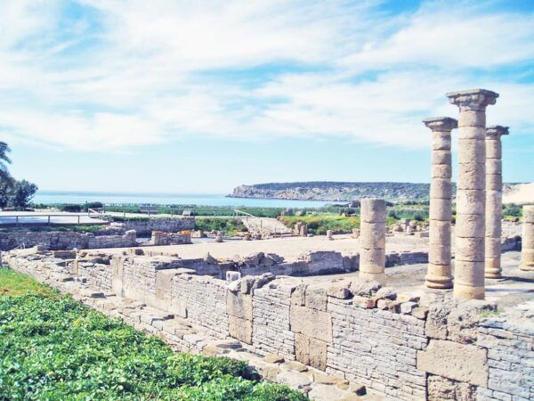 Vejer De La Frontera & Bolonia Private Day Trip From Seville - Guided Tours and Languages