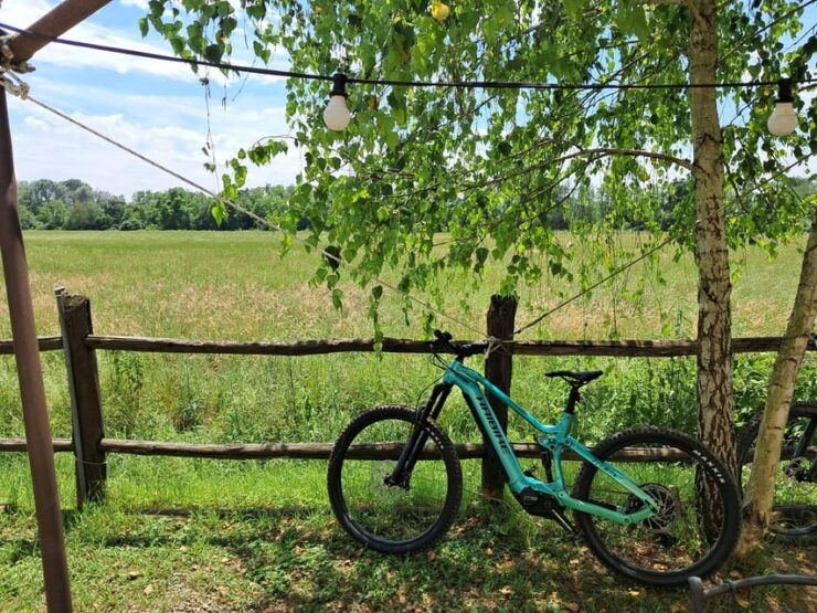 Venaria Reale: Self-Guided E-Bike Tour of Mandria Park - Experience Highlights