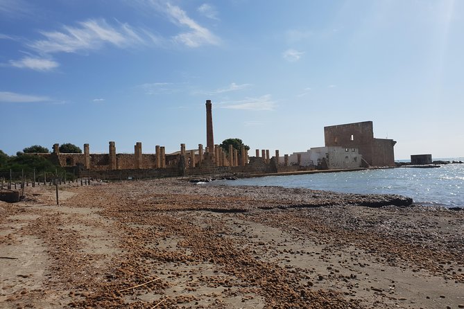 Vendicari - Sicilys Best Coast Nature Reserve ( Birdwatching & Archeology ) - The Sum Up