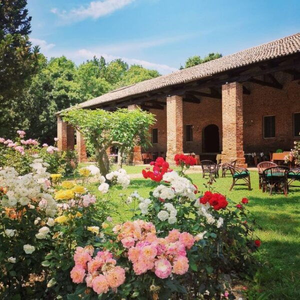 Veneto: Hands-On Cooking Class & Lunch - Fresh Pasta Making - Directions