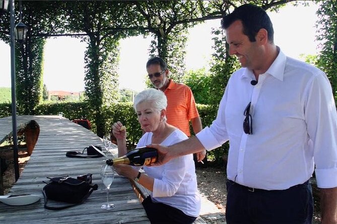 Veneto Hill Towns, Vineyard, Palladian Villa Tour From Venice - Common Questions
