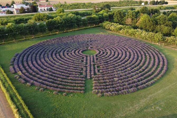 Veneto Labyrinths Tour From Venice - Monumental Garden of Valsanzibio