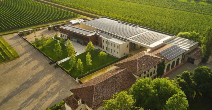 Veneto: Vineyard Tour With Wine Tasting - Tour Highlights