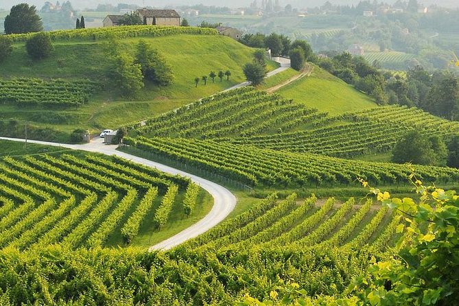 Venezia-Verona Amarone Tour - Pickup Instructions