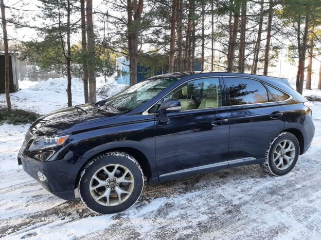 Venice Airport (VCE):1-Way Transfer to Chioggia City or Port - Inclusions