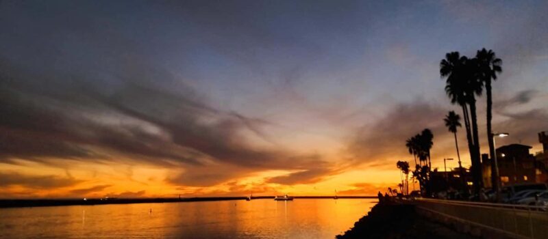 Venice Beach & Malibu View Boat Cruiser- Music Wine Sealions - FAQ