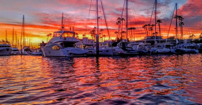 Venice Beach: Photography Tour With a Local Guide - Experience