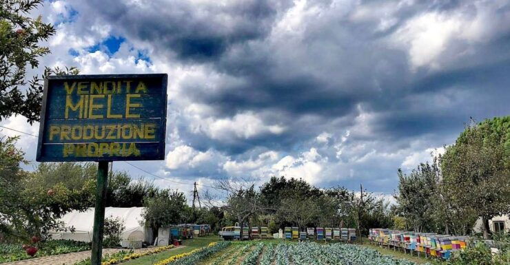 Venice: Bike Tour Honey & Artichockes on Sant'Erasmo Island - Good To Know