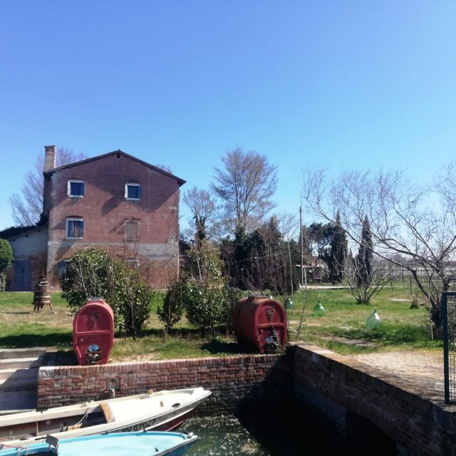 Venice: Bike Tour Honey & Artichockes on Sant'Erasmo Island - Experience Highlights
