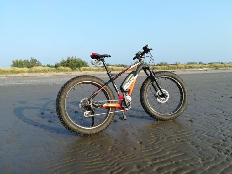 Venice E-bike Rental - Benefits of Renting E-bikes in Venice
