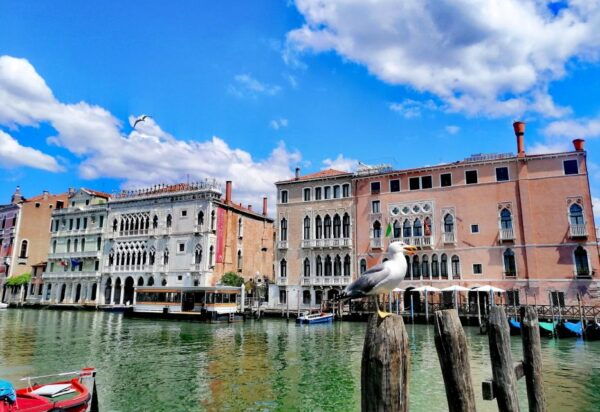 Venice: Fish Market Shopping Walking Tour & Home Cooked Meal - Booking
