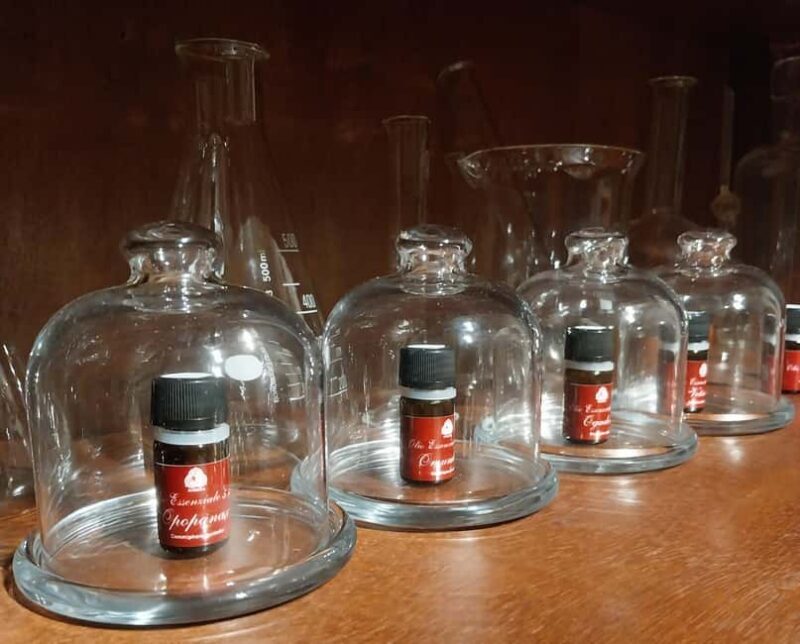 VENICE, FRANKINCENSE AND MYRRH! A JOURNEY ON AROMATICS TRADE - Introducing this aromatic adventure in Venice