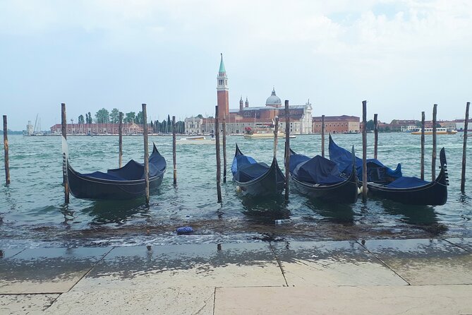 Venice Full-Day Guided Tour From Milan - Pricing and Booking Details