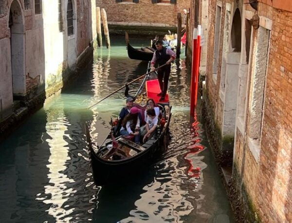 Venice: Grand Canal by Gondola With Live Commentary - Service and Organization