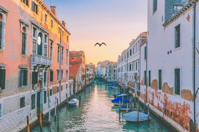 Venice Guided Walking Tour - The Sum Up