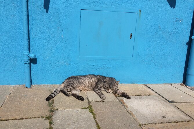 Venice Islands Boat Trip Murano Burano,(Torcello) - Tour Highlights and Features