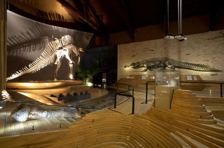 Venice: Natural History Museum Entry Ticket - Ticket Information