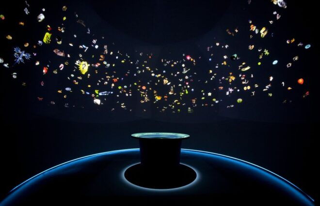 Venice: Natural History Museum Entry Ticket - Highlights