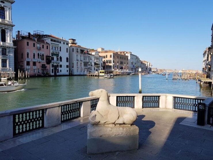 Venice: Peggy Guggenheim Collection Tour With Private Guide - Good To Know