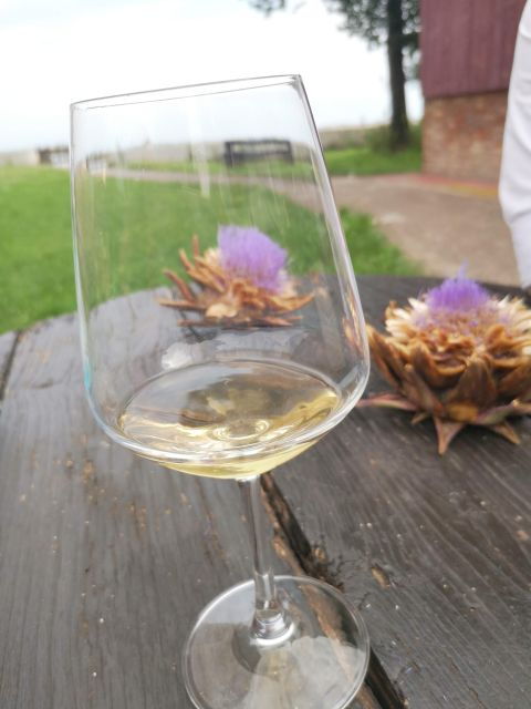 Venice: Private Tour in the City and Wine Tasting - Private Group Experience Highlights