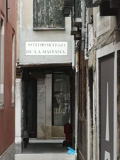 Venice: Private Tour in the City and Wine Tasting - Important Notifications and Dietary Requirements