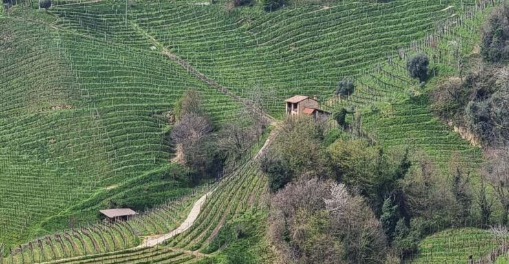 Venice : Prosecco Hills Tour With Tasting and Wine!! - Itinerary and Activities