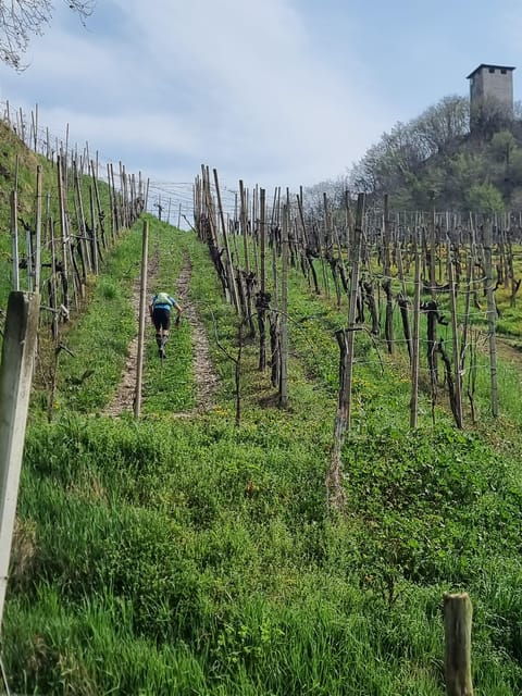 Venice : Prosecco Hills Tour With Tasting and Wine!! - Booking Information