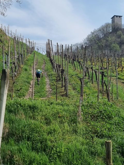 VENICE: Prosecco Hills Tour With Tasting and Wine!! - Tour Details