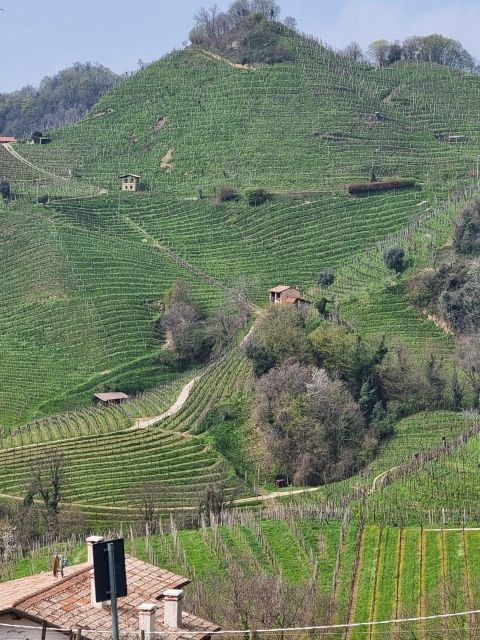 VENICE: Prosecco Hills Tour With Tasting and Wine!! - Inclusions