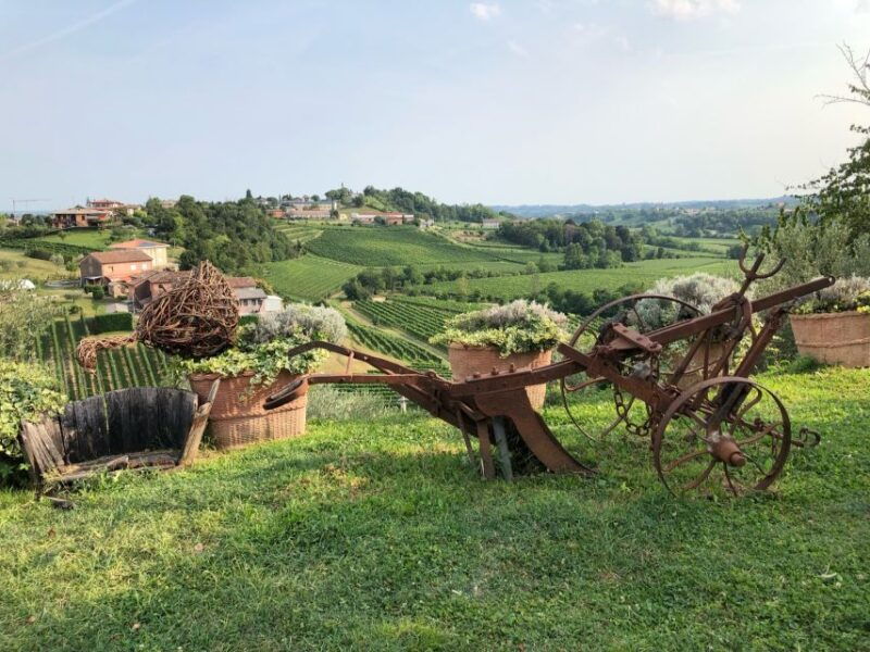 Venice: Prosecco Hills Wineries Tour with Tastings and Lunch - Venice: Prosecco Hills Wineries Tour with Tastings and Lunch — An Authentic Insight