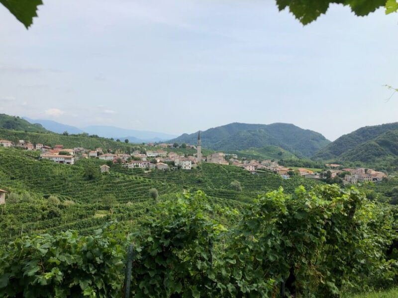 Venice: Prosecco Hills Wineries Tour with Tastings and Lunch - Good To Know