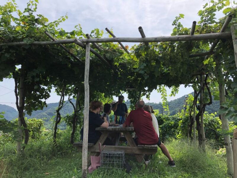 Venice: Prosecco Hills Wineries Tour with Tastings and Lunch - Final Thoughts
