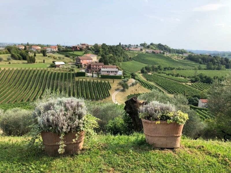 Venice: Prosecco Hills Wineries Tour with Tastings and Lunch - Frequently Asked Questions
