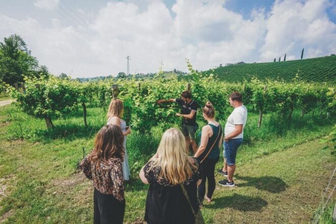 Venice: Prosecco Wine Tasting Tour - Explore the UNESCO Prosecco Land