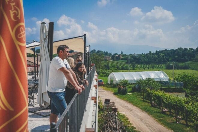 Venice: Prosecco Wine Tasting Tour - Enjoy a Full-Day Tour With a Wine Expert Guide