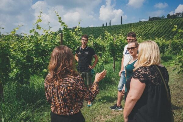 Venice: Prosecco Wine Tasting Tour - Common Questions