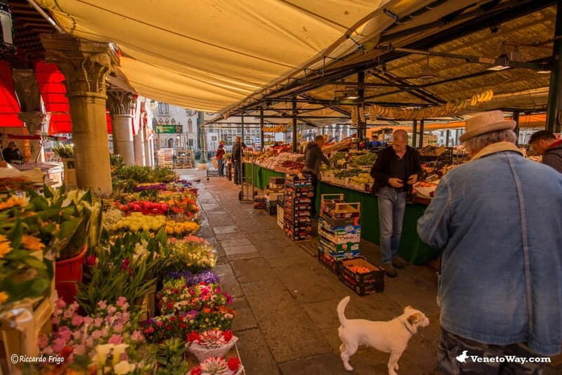 Venice: Rialto Market Food Tour with 3 Tastings - Who Should Take This Tour?