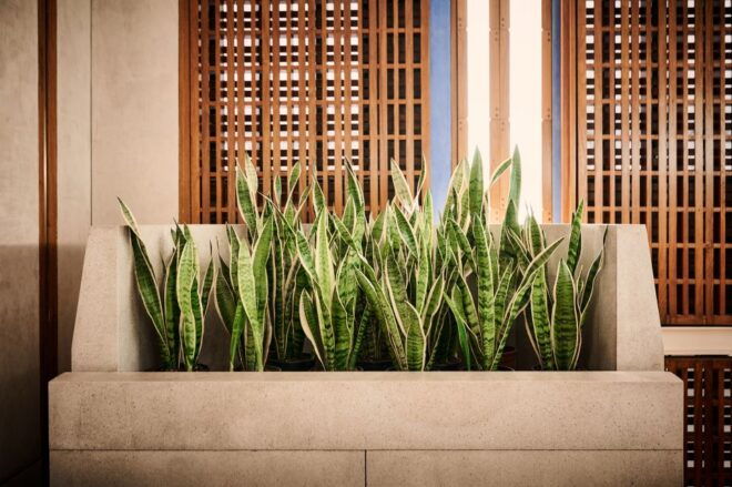 Venice: Tickets to Negozio Olivetti - Ratings and Reviews