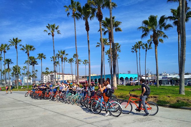 Venice Vibrations Public Bike Tour Experience - Overview and Inclusions