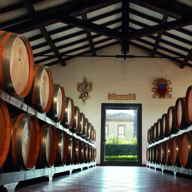 Venosa: Re Manfredi Winery Tour With Tastings - Re Manfredi Winery Background