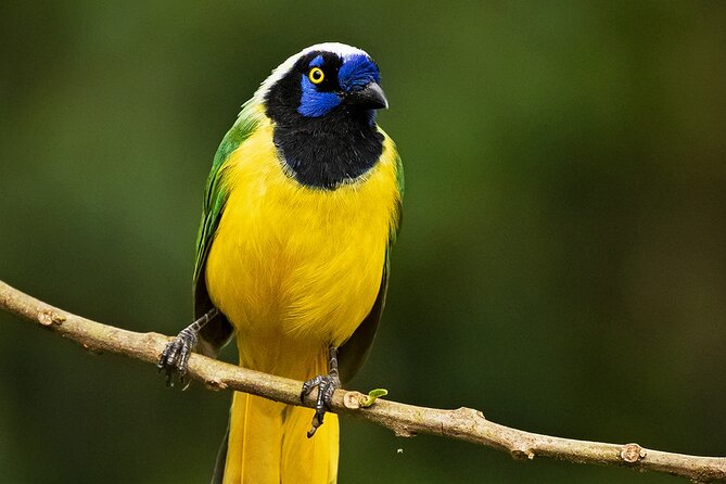 Venture Into Rio Quijos Scenic Valley - Explore the Breathtaking Scenery