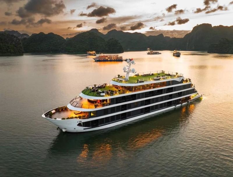 Venus 2D1N Cruise: Ha Long Bay & Lan Ha Bay - At a glance: what matters most