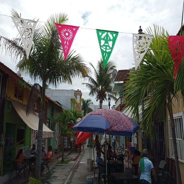 Veracruz: A Journey of Color, Flavor and Heritage - Port of Alvarado: Significance to the Community