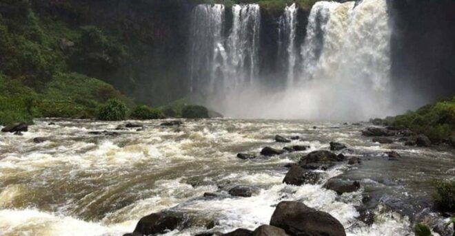 Veracruz: Catemaco and Los Tuxtlas Nature Tour - Experience Details