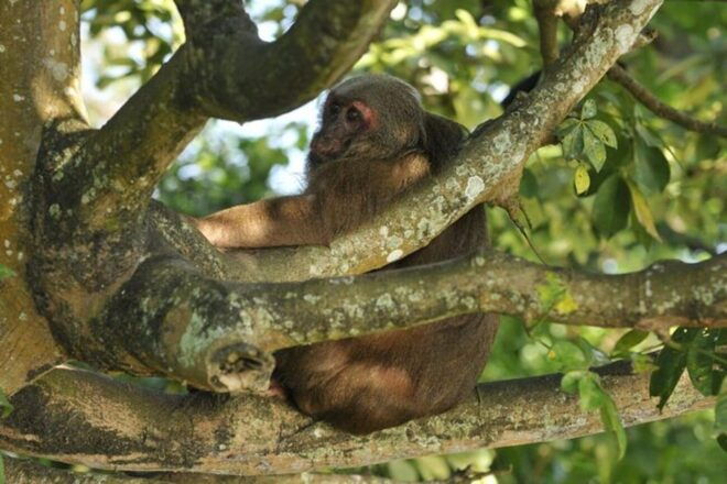 Veracruz: Catemaco and Los Tuxtlas Nature Tour - Booking Information